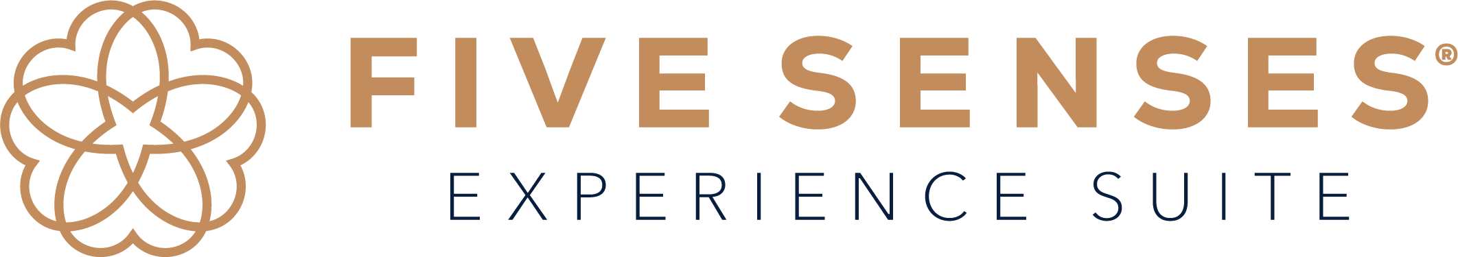 WIT Logo